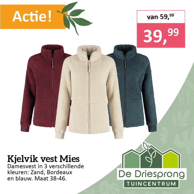 Kjelvik vest Mies