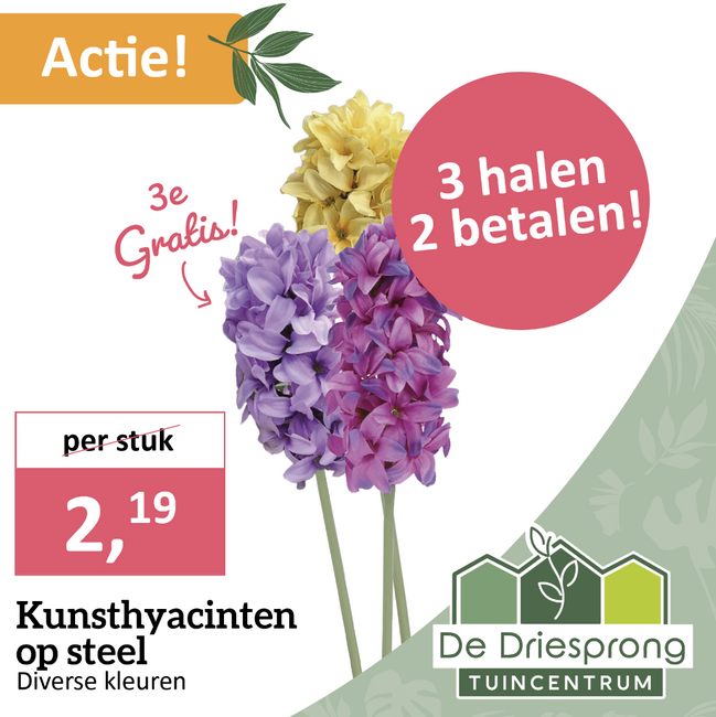 Kunsthyacinten 3e GRATIS!