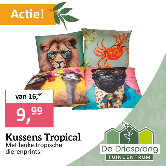 Kussens Tropical