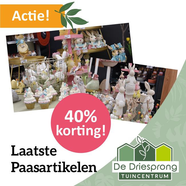 Laatste paasartikelen!