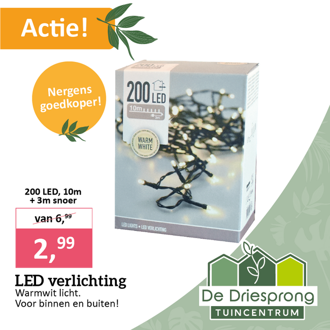 LED verlichting 200 LED