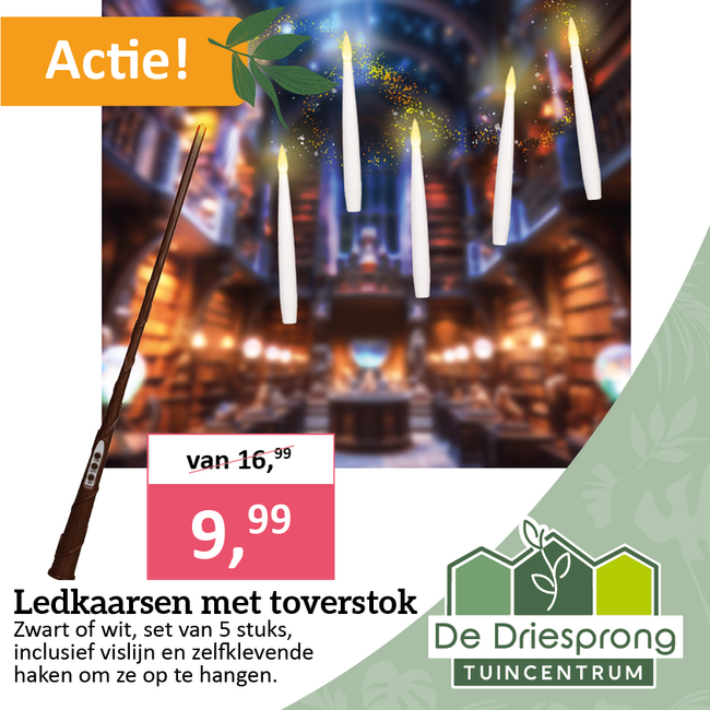 Ledkaarsen met toverstok