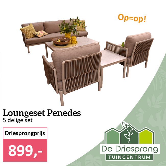 Loungeset Penedes