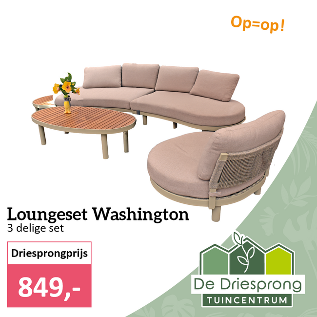 Loungeset Washington