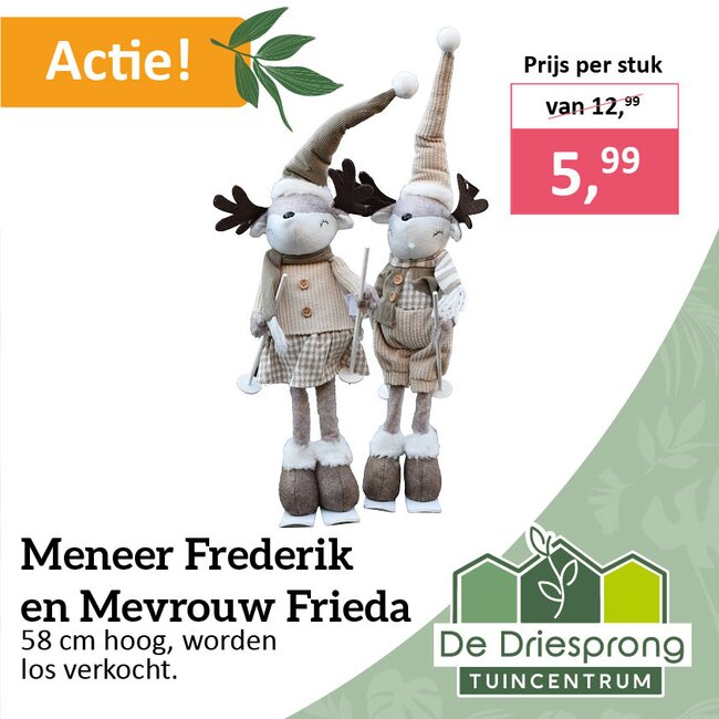 Meneer Frederik en Mevrouw Frieda