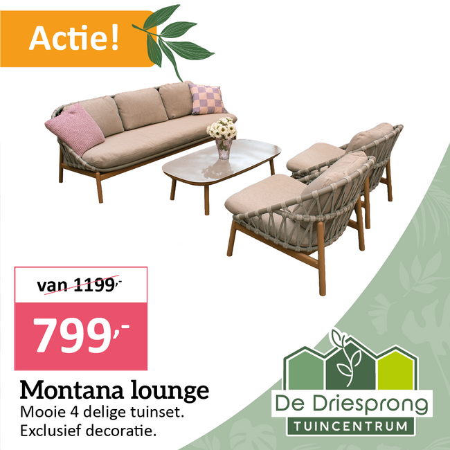 Montana lounge