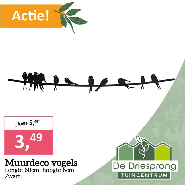 Muurdeco vogels
