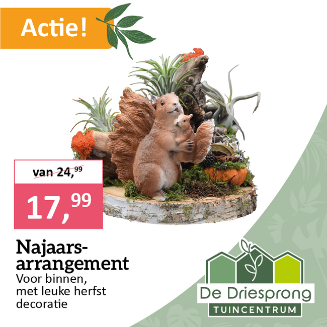 Najaarsarrangement