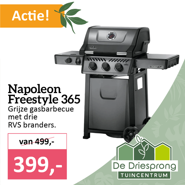 Napoleon Freestyle 365