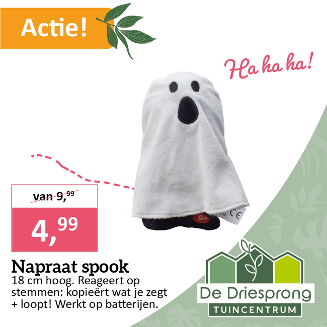 Napraat spook