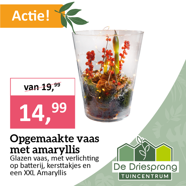 Opgemaakte vaas met amaryllis