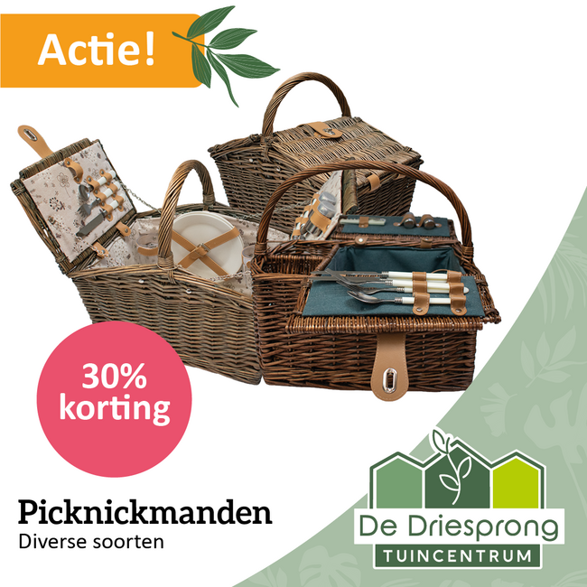 Picknickmanden