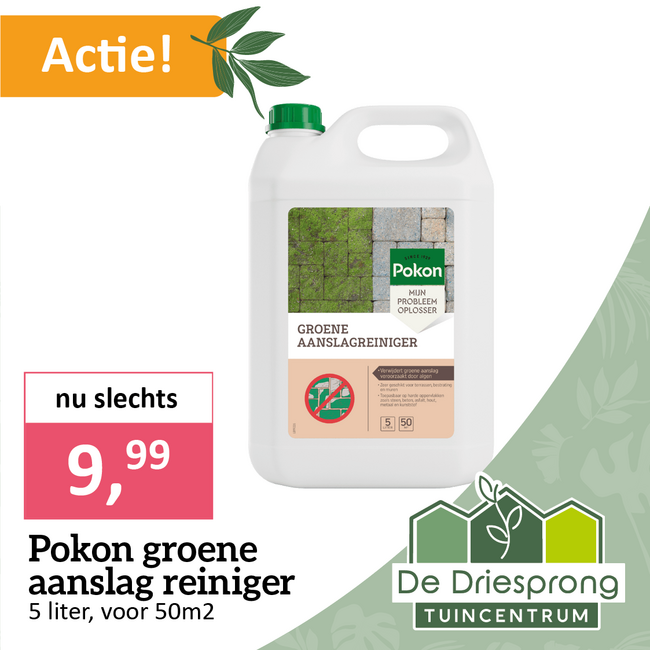 Pokon groene aanslag reiniger
