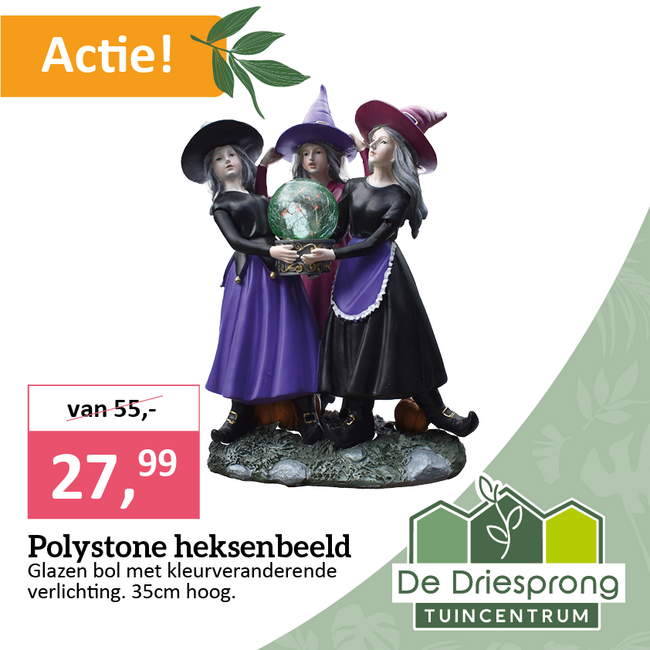 Polystone heksenbeeld