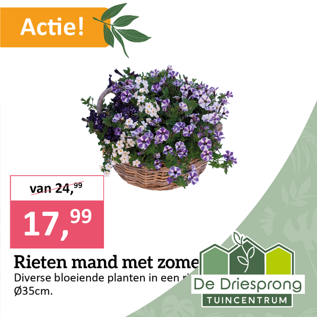 Rieten mand met zomerbloeiers