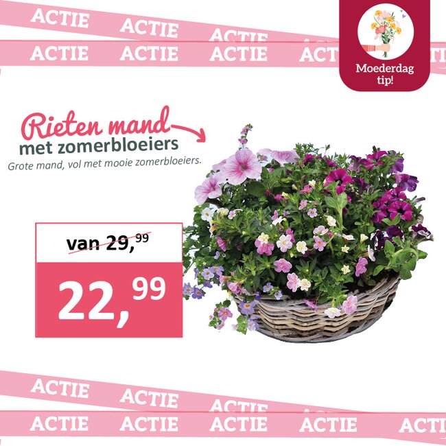 Rieten mand met zomerbloeiers