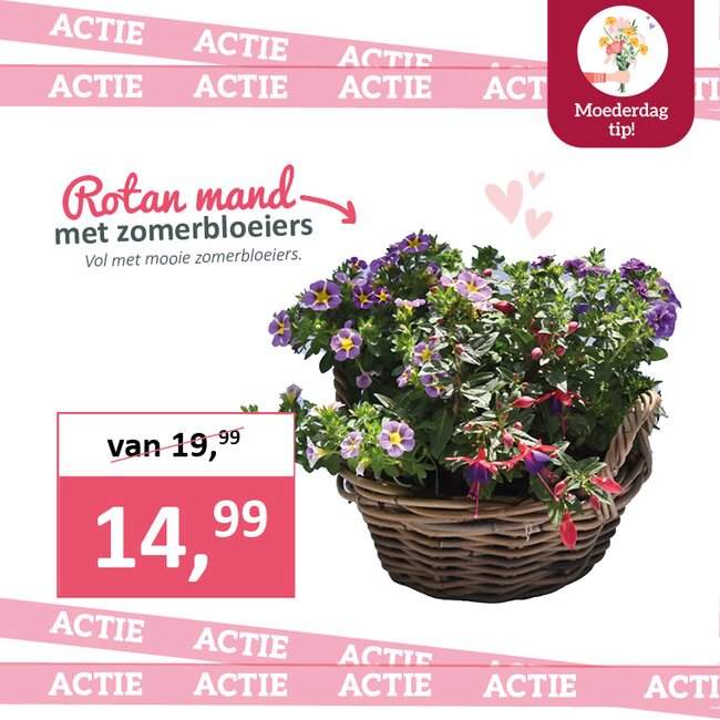 Rotan mand met zomerbloeiers