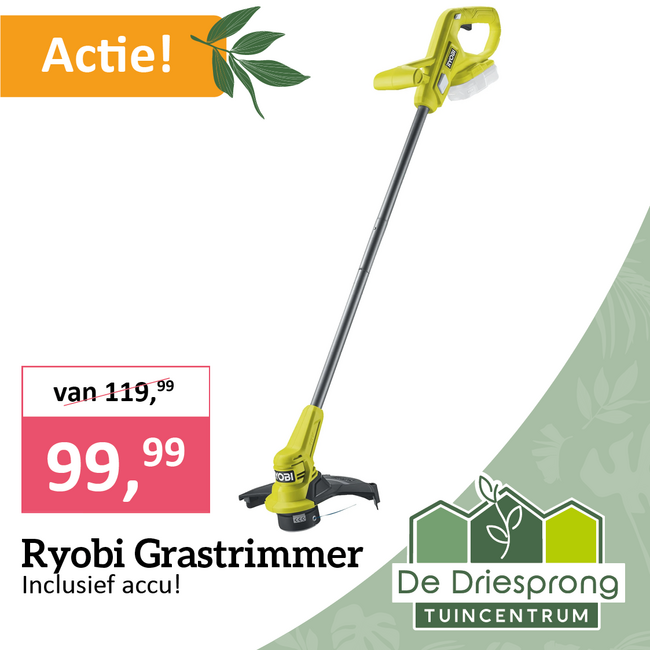 Ryobi Grastrimmer