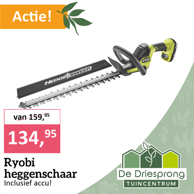 Ryobi heggenschaar