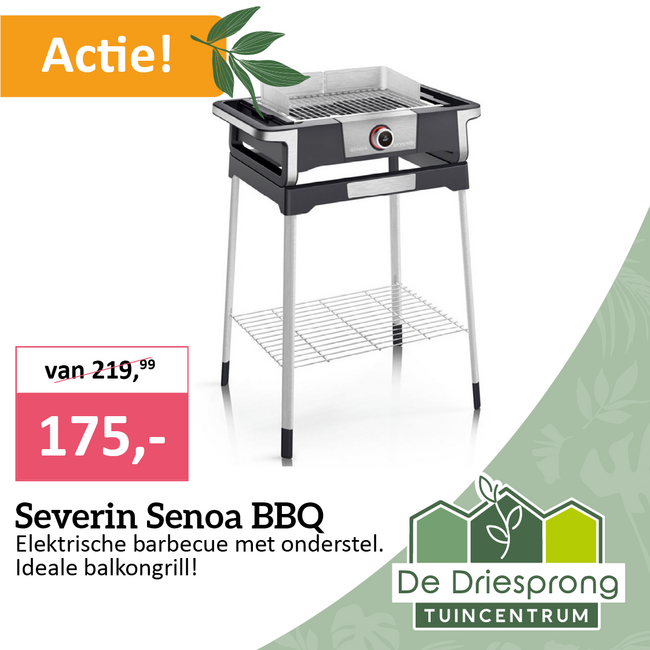 Severin Senoa BBQ