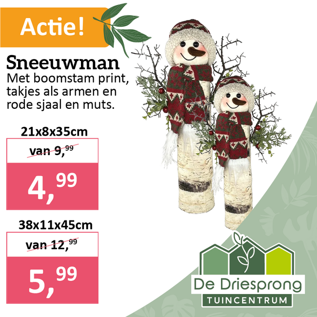 Sneeuwman