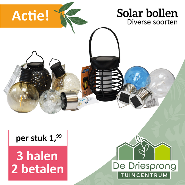 Solar bollen