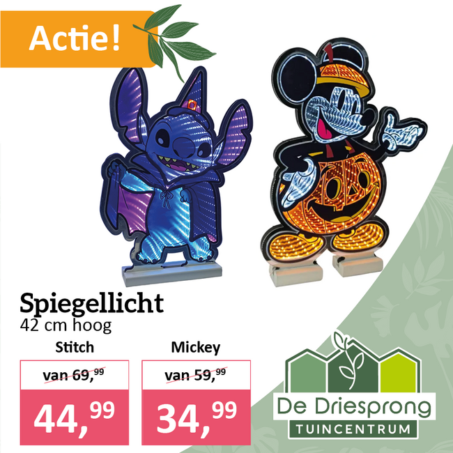 Spiegellicht