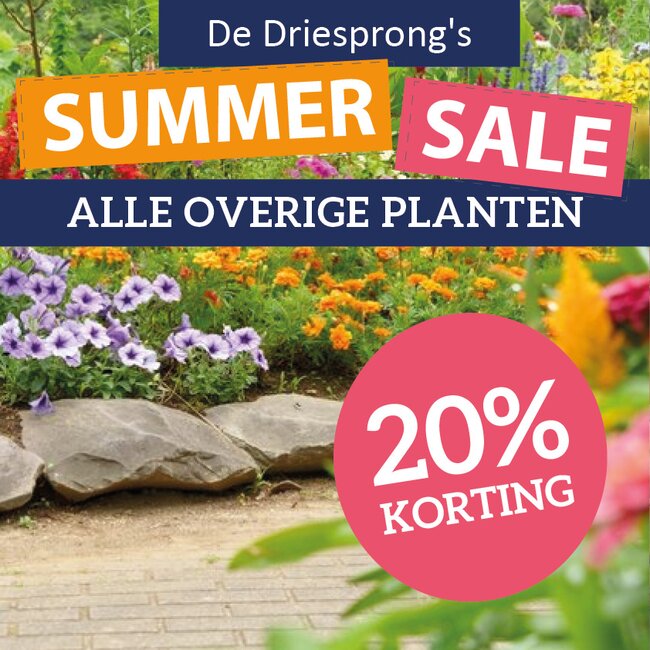 Summer Sale Alle overige buitenplanten 20% korting!