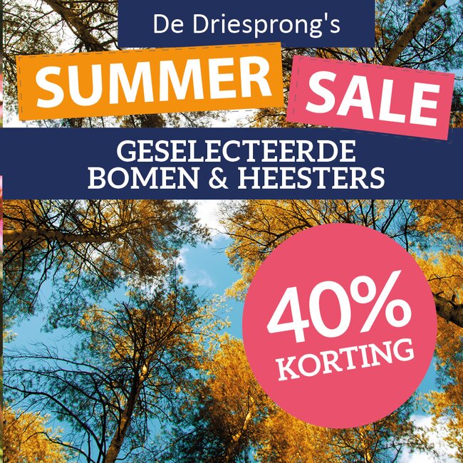 Summer sale geselecteerde bomen & heesters 40% korting!