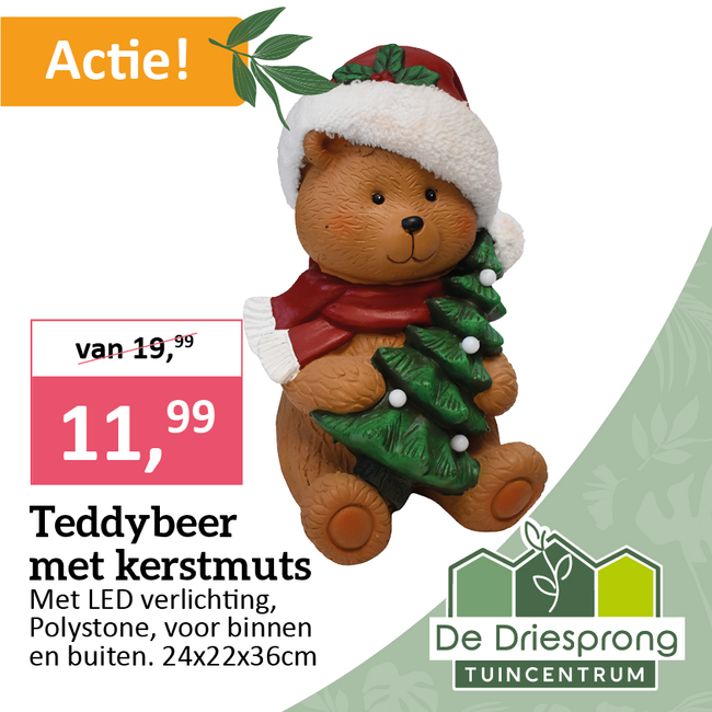 Teddybeer met kerstmuts