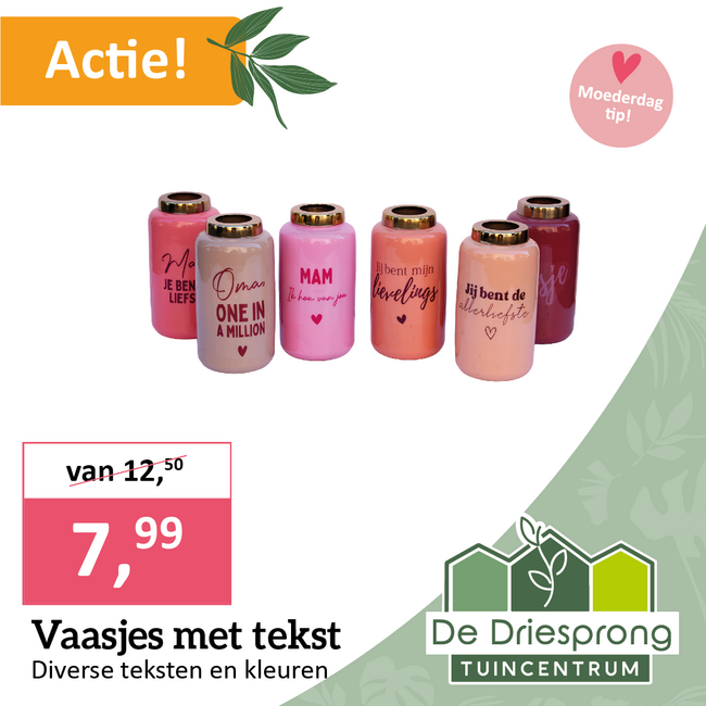 Vaasjes met tekst
