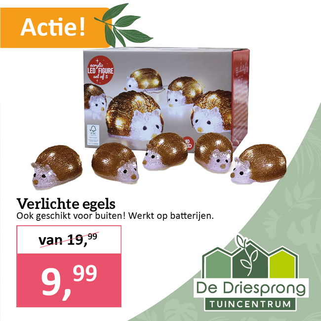 Verlichte egels