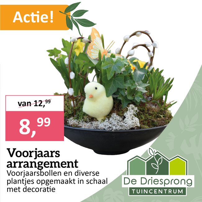 Voorjaarsarrangement