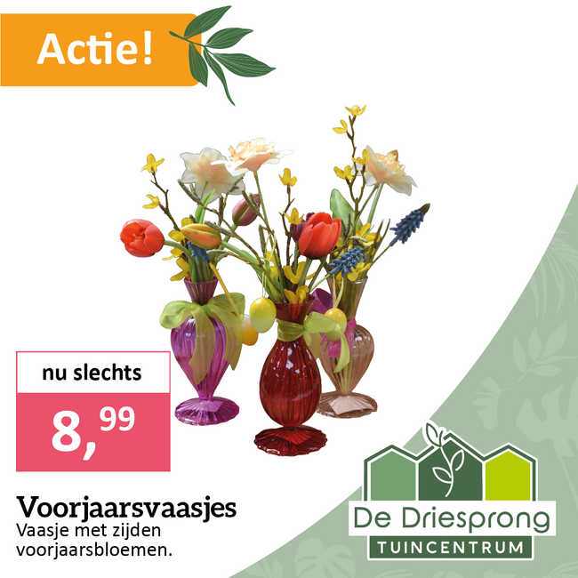 Voorjaarsvaasjes