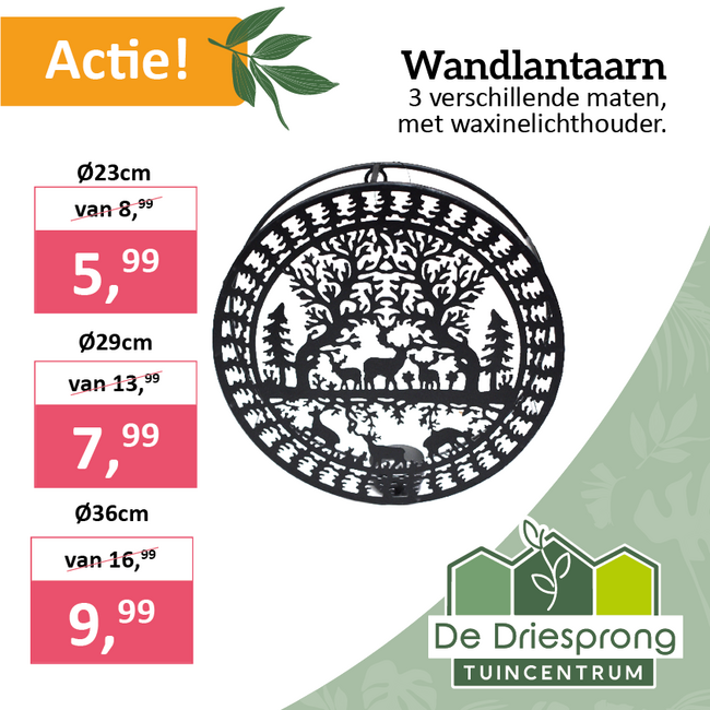 Wandlantaarn