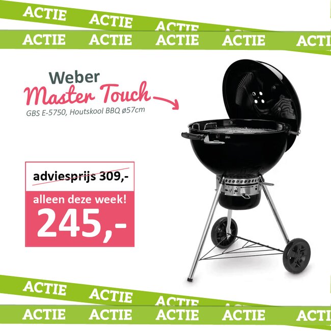 Weber Master Touch