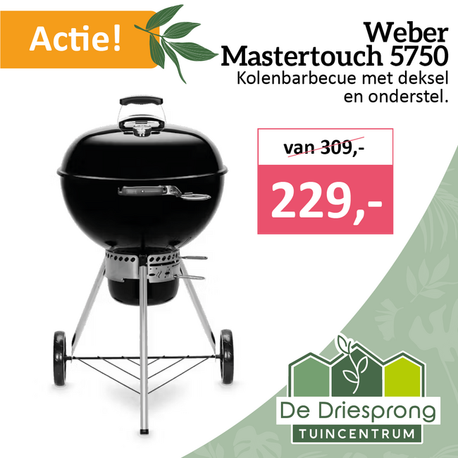 Weber Mastertouch 5750