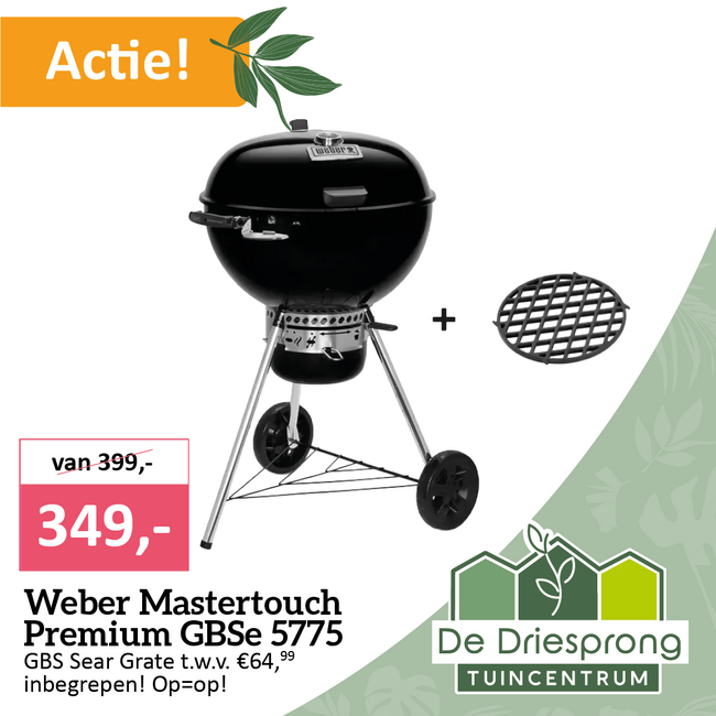 Weber Mastertouch Premium GBSe 5775