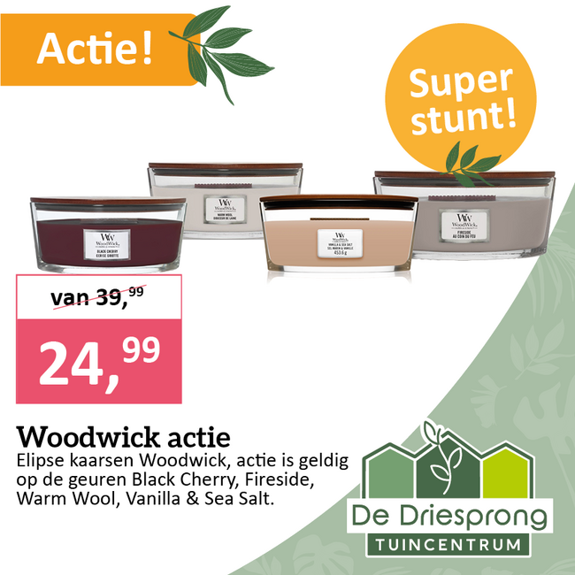 Woodwick actie