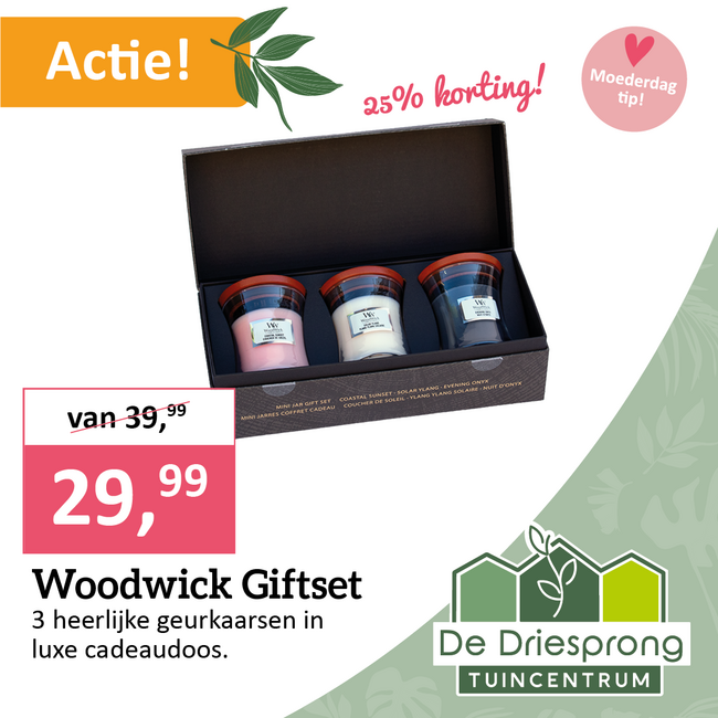 Woodwick Giftset