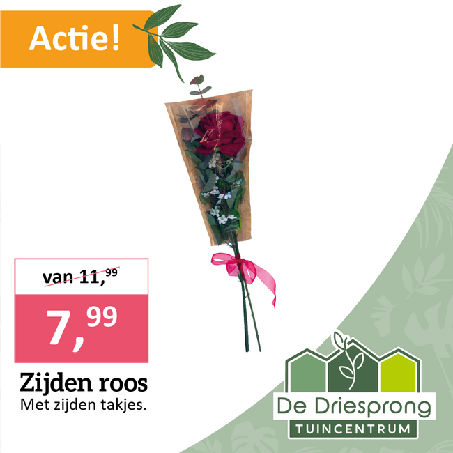 Zijden roos