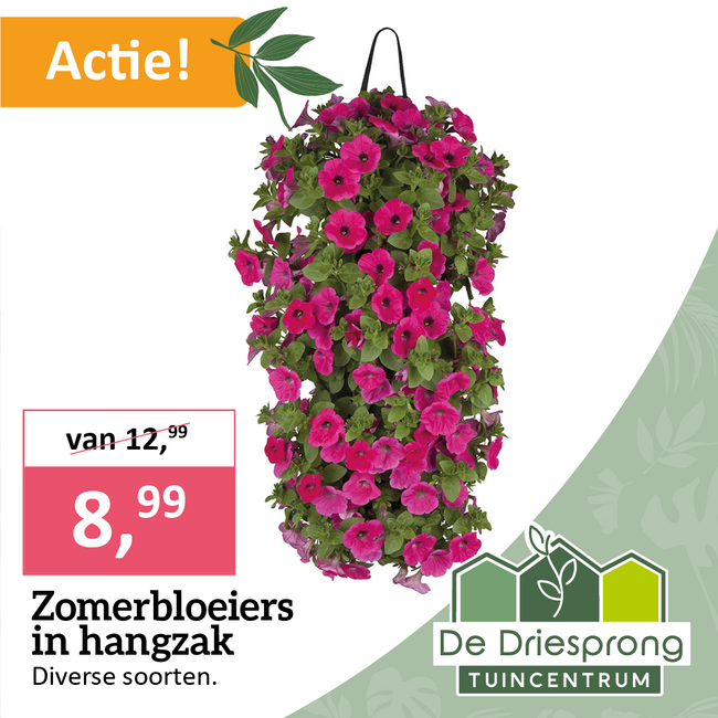 Zomerbloeiers in hangzak