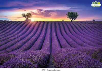 Beeldbank tuinposter op maat
