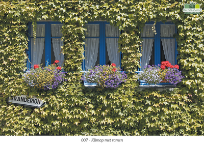 Beeldbank tuinposter op maat