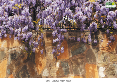 Beeldbank tuinposter op maat