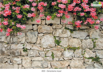 Beeldbank tuinposter op maat