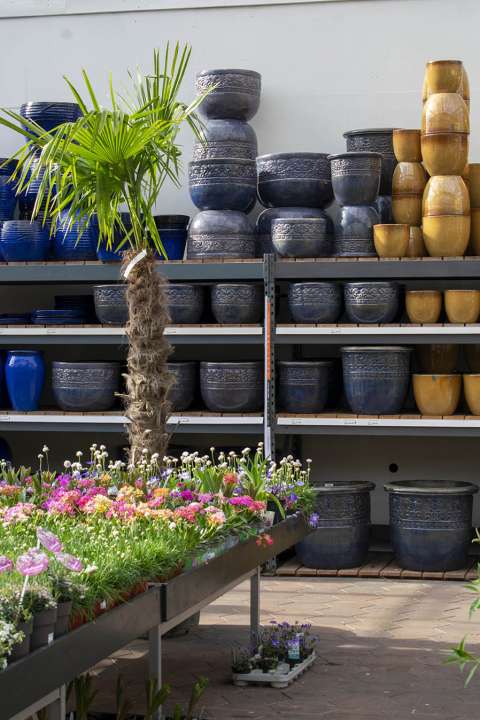 Ritueel helaas generatie Potterie - Tuin- en plantencentrum de Driesprong