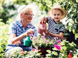 Watertips voor een goede bewatering | TC De Driesprong