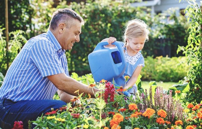 bewatering en beregening in de tuin