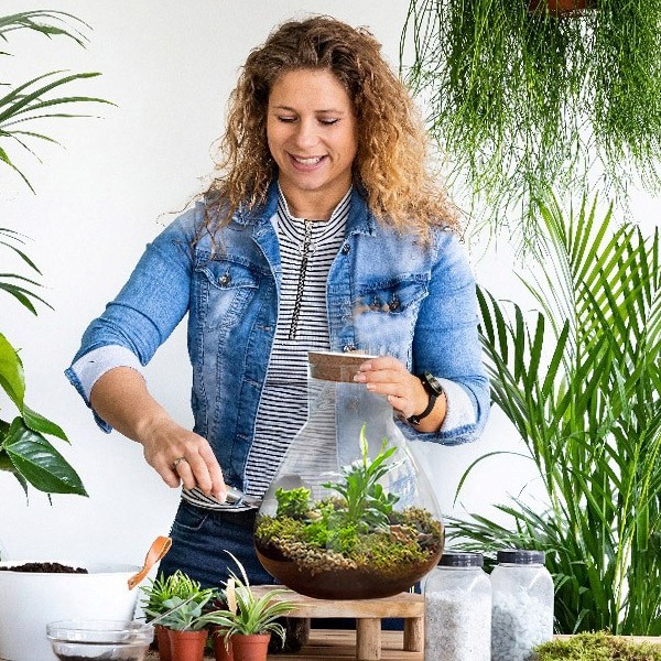 Plant van de maand